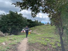 -阳台山自然风景区