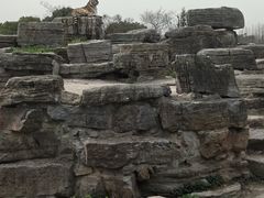 -上海野生动物园
