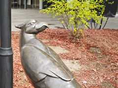 -中粮·祥云小镇