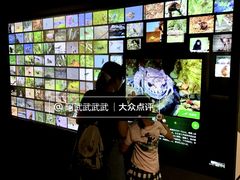 -四川大学博物馆