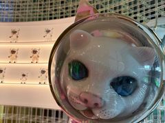 -水之梦(黄浦店)