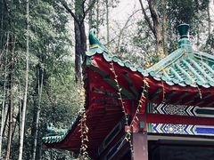-青龙山国家森林公园