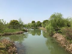 -梁鸿国家湿地公园