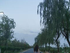 -洨河生态公园