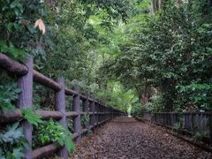 -井之头恩赐公园