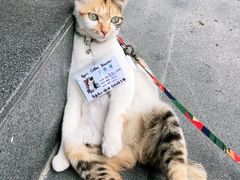 -Again Coffee Roaster(香蜜湖店)