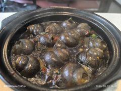 -阿龙酒煲(海宁新苑路店)