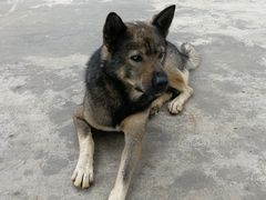 -杭州天目山静雅居农家乐