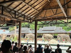 -野象谷景区
