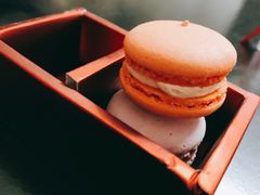 -松涛日本料理
