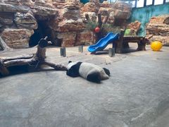 -石家庄市动物园