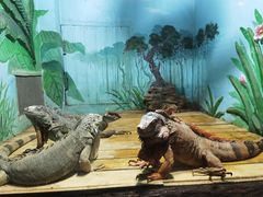 -石家庄市动物园