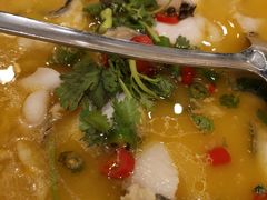 -蜀腾川·火锅鱼.烤鱼(新世界城店)