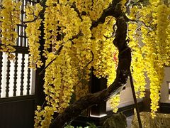 -金链花·泰国餐厅(国贸店)