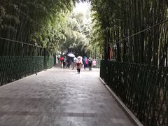 -红螺寺