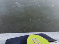 -迎泽公园