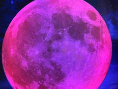 -重庆梵高星空艺术馆(解放碑旗舰店)