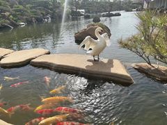 -罗红摄影艺术馆