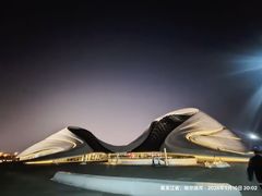 -哈尔滨大剧院