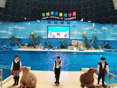-泉城欧乐堡海洋极地世界