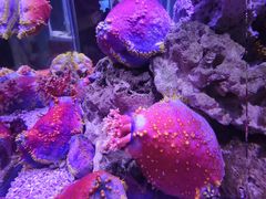 -太平洋海底世界