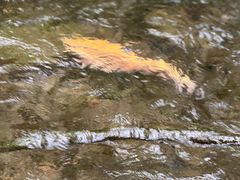 -水磨沟公园