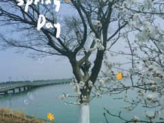 -阳澄湖半岛旅游度假区