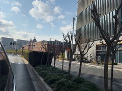 -上海惠灵顿外籍人员子女学校