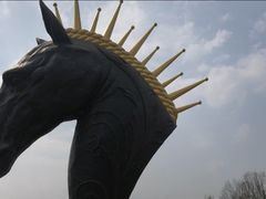 -白鹭湾湿地公园