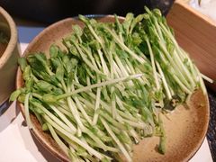 豆苗-盡膳口福跷脚牛肉火锅(北美新天地店)