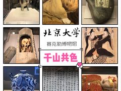 -北京大学赛克勒考古与艺术博物馆