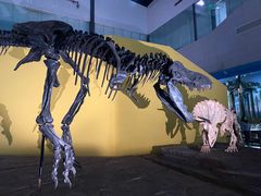 -湖南省地质博物馆