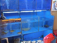 -陆记鹅庄·潮汕菜·狮头鹅(大仟里店)