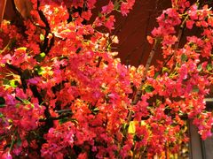 -农耕记·湖南土菜(halo广场店)