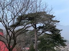 -妙峰山风景名胜区