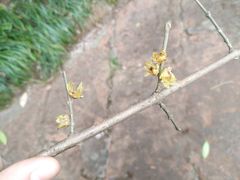 -华南国家植物园-售票处