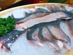 梭边鱼-吃城都·鱼蛙火锅(西玉龙街店)
