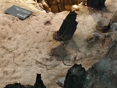 -南越王博物院(王宫展区)