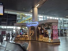 -波哥大埃尔多拉国际机场