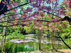 -北海道厅旧本厅舍(旧本庁舎)
