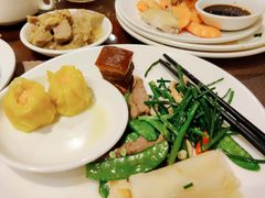 -爱乐国际温泉水疗会