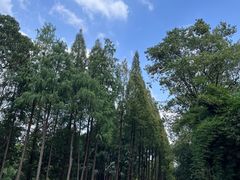 -岳麓山风景名胜区