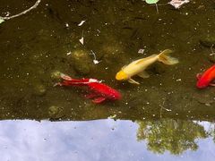 -鹿野苑石刻艺术博物馆