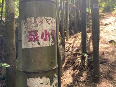 -会稽山峡洞漂流-上青古道