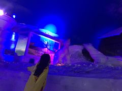-世界之窗阿尔卑斯冰雪世界
