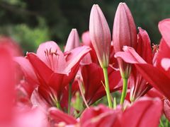 -长春公园(普阳街道)