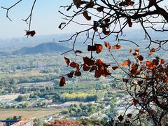 -北京西山国家森林公园