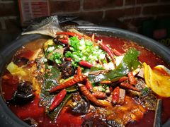 凌波鱼毛血旺口味-探鱼·鲜青椒爽麻烤鱼(中山大信新都汇店)