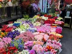 -双季花艺园艺市场(浦东店)