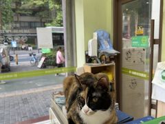 -瑞鹏宠物医院·夜间急症·心超·猫科(祖庙分店)